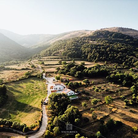 Tenuta Bianca Agriresort Sanza Buitenkant foto